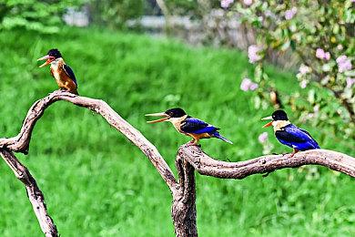 街机风竞速《狂野泊车》全新演示 考验玩家的泊车技术